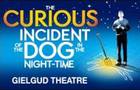 The Curious Incident of the Dog in the Night-Time