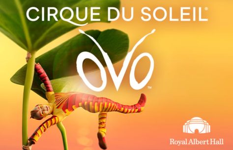 Cirque du Soleil: OVO Tickets